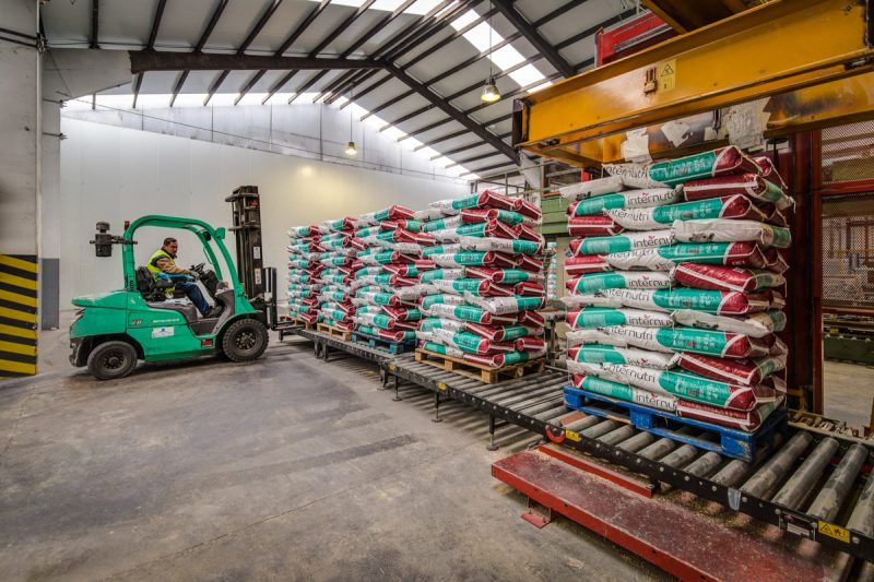 14 MG 1118 19 20 fused