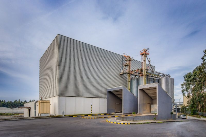 3 MG 0779 80 81 fused