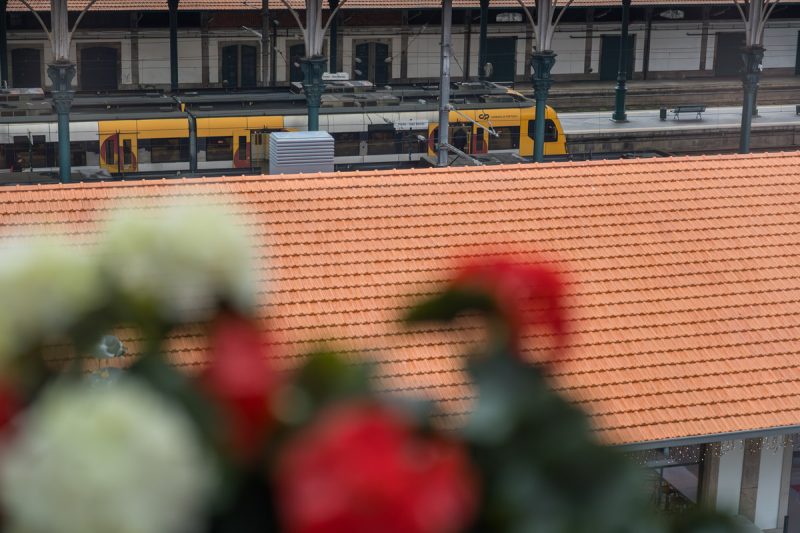 DSC04124 Enhanced NR